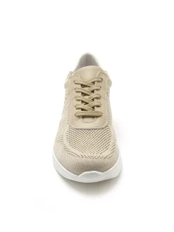 New Baskets à lacets Femme Baskets, Derbies