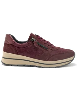 New Baskets zip et lacets semelle amovible Femme Baskets, Derbies