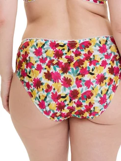 New Culotte microfibre imprimée Culotte, Slip, Shorty